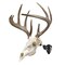 Allen Co EZ Mount Trophy Skull Hanger, Black 7254 - alternate 1